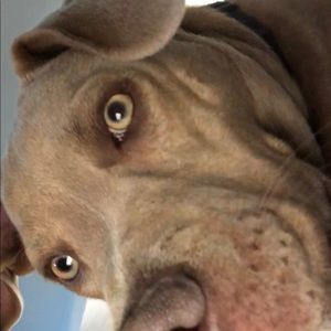 Meet your Posher, Kim